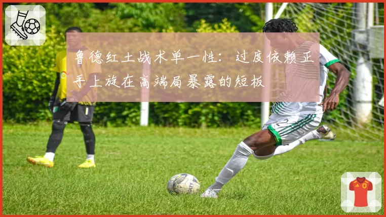 鲁德红土战术单一性：过度依赖正手上旋在高端局暴露的短板