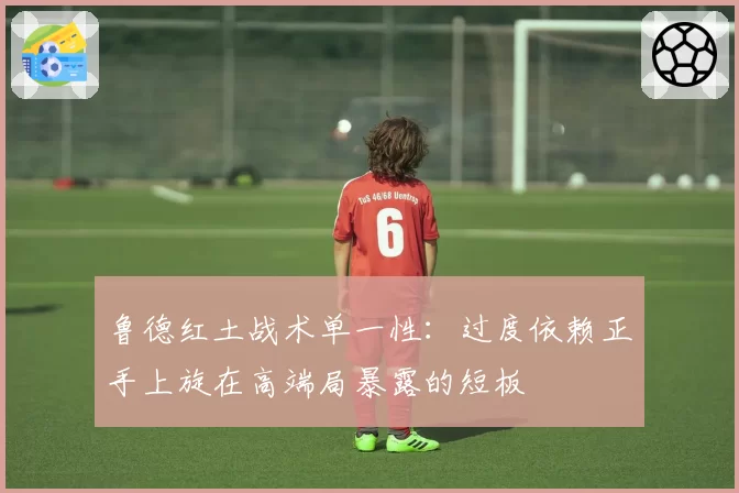 鲁德红土战术单一性:过度依赖正手上旋在高端局暴露的短板